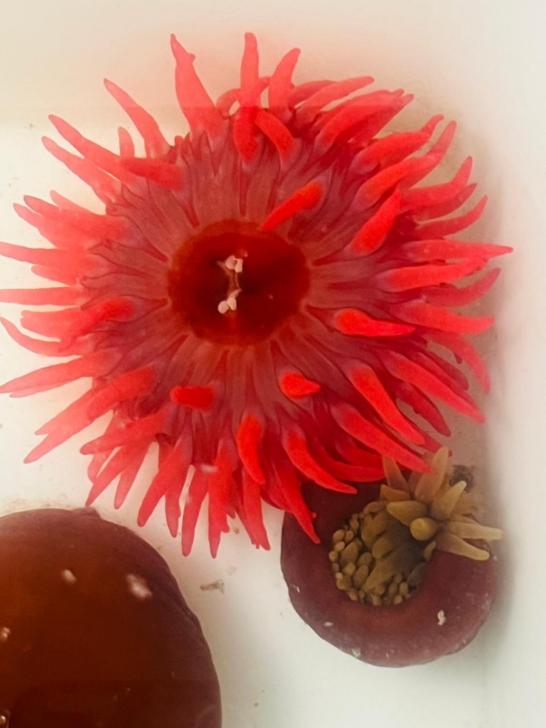 WhatsApp Image 2025-08-19 at 09.35.42.jpeg